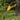 Folding Pruning Saw - Classic German-Japanese Garden Carpentry Tool - Shop Wood Tools