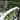 Telescopic Branch Saw - High-Altitude Fruit Tree Pruner - Shop Wood Tools