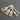 Wooden Handle Paint Brush Set - 5 Pcs Easy Clean Wall Furniture Brushes - Shop Wood Tools