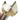 Woodworking Door Drill Bit - Lengthened Hole Opener for Wood - Shop Wood Tools