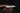 Handmade Authors Knife - Unique Strong Steel Design - Shop Wood Tools