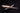 Artisan Hunting Knife - Unique Handmade Ivory Handle - Shop Wood Tools
