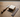 Chip Wood Carving Guide