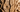 How to Prevent Cracks and Splits in Your Wood Carving Projects?