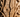 How to Prevent Cracks and Splits in Your Wood Carving Projects?