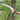 Telescopic Branch Saw - High-Altitude Fruit Tree Pruner - Shop Wood Tools
