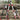 SK5 Steel Garden Pruner - Ideal for Branches and Fruit Trees - Shop Wood Tools