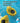 Little Yellow Duck Bath Thermometer - Waterproof Baby Temperature Sensor - Shop Wood Tools
