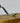 Bent Gouge Chisel 1 - Curved Carving Tool STRYI Profi - Shop Wood Tools