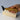 Wood Carving Knife STRYI Profi 40mm - Chip Carving Tool - Shop Wood Tools